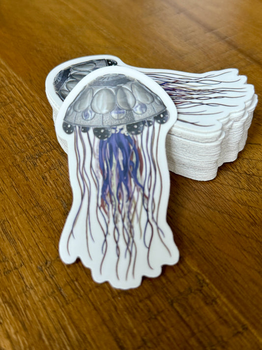 Admiral Wobblecog